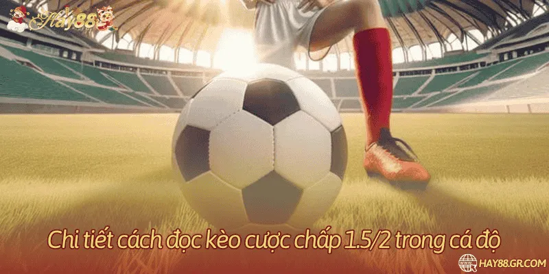 Chi tiết cách đọc kèo đúng chuẩn dành cho cược chấp 1.5/2
