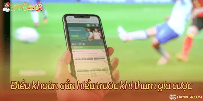 Tổng hợp các điều khoản quan trọng của nhà cái