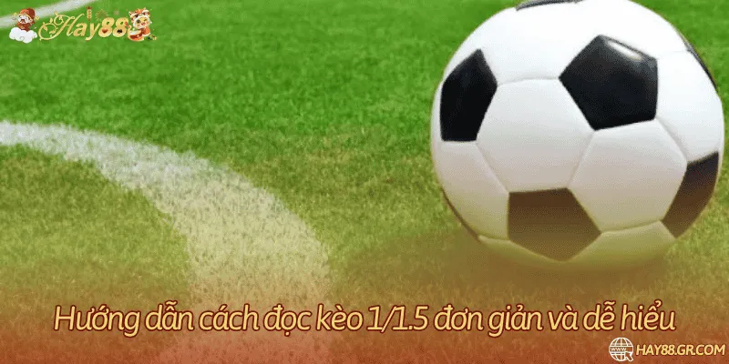 Hướng dẫn đọc kèo 1/1.5 cho tài xỉu và cược chấp
