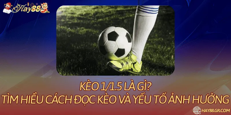 Kèo 1/1.5 Là Gì? Tìm Hiểu Cách Đọc Kèo Và Yếu Tố Ảnh Hưởng