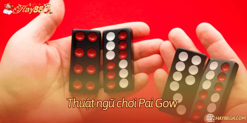 Thuật ngữ chơi Pai Gow