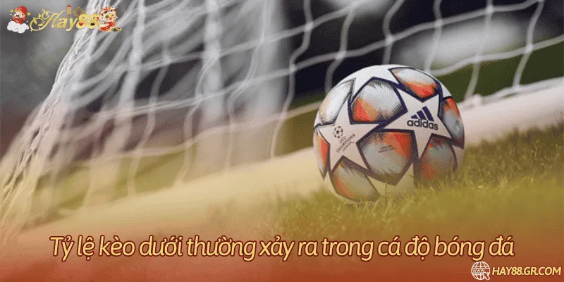 Một số kèo phổ biến xuất hiện cửa dưới